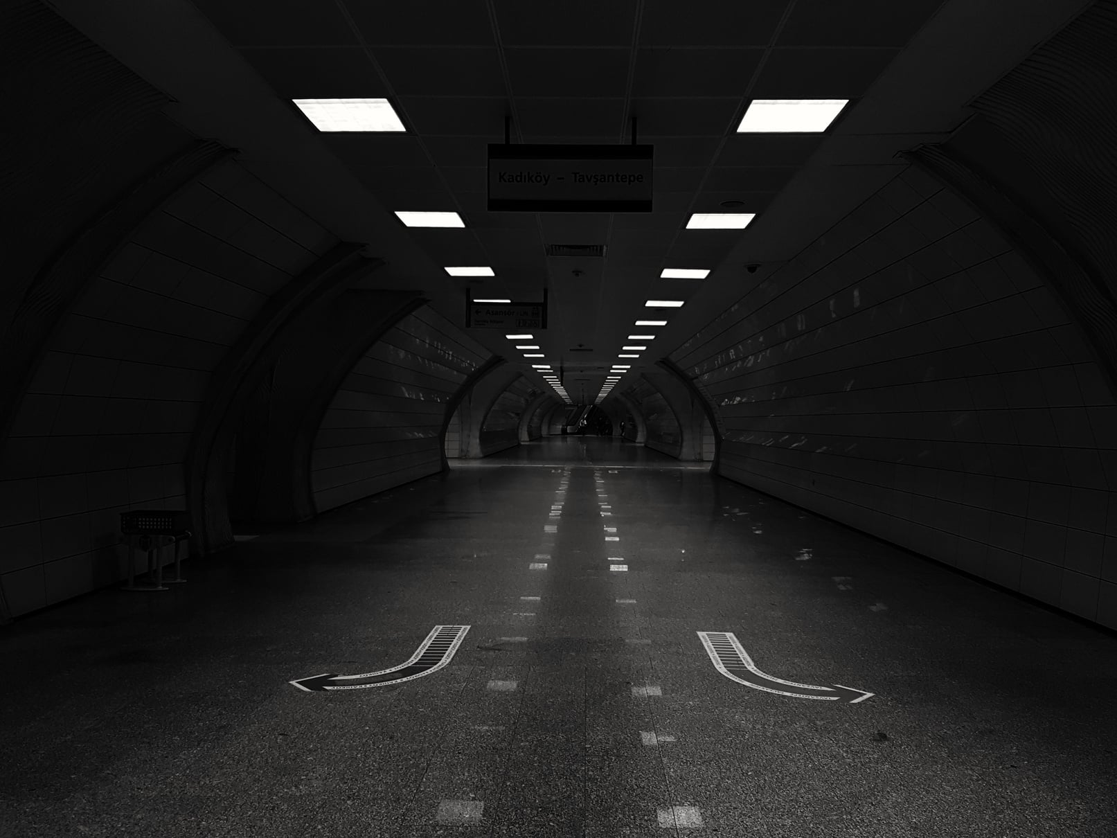 Grayscale Photo of Road